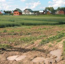 ������� ��� ������������: ���� ������?